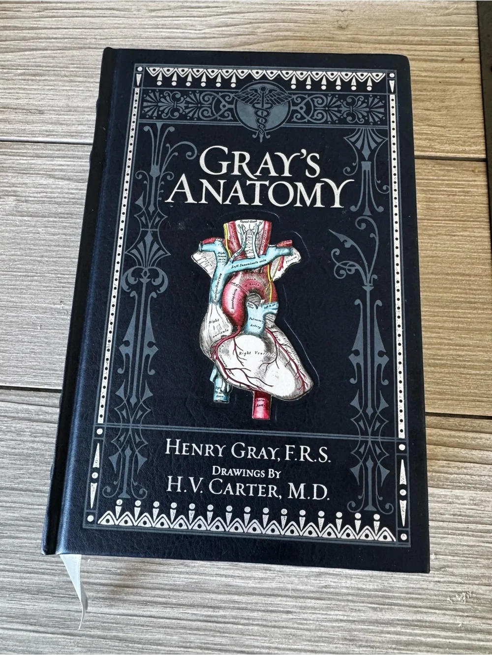 Gray's Anatomy Hardcover Illustrated Medical Book - Black Cover